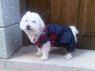 Vinarius, Posada Rural - 2