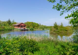 Swallow Cottage - Llanerchymedd - 6