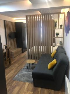 Kopaonik presidentKop apartman - Kopaonik - 6