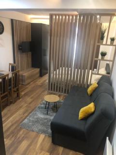 Kopaonik presidentKop apartman - Kopaonik - 4