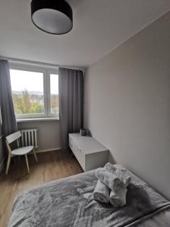 Apartament Manhattan - Kłodzko - 6