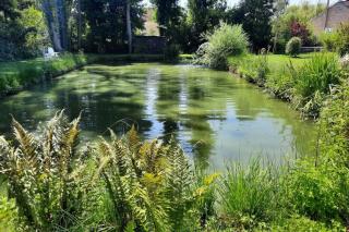 Au Calme Absolu chez Elodie & Aurélien - 4