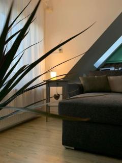 Hangulatos társasházi apartman Pécs belvárosában - Pécs - 5
