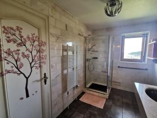 L'Estive, gîte à la ferme en montagne - Eschbach-au-Val - 5