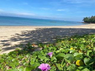 Lanta Palace Beach Resort & Spa - Adult Only - Ko Lanta - 6
