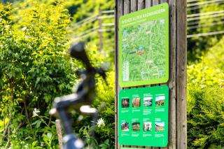 Hubertushof - Trattenbach - 6
