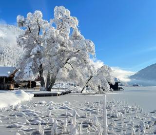 Ferienhof Neusacher Moser - 9