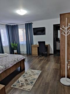 Casa Marina - Călimăneşti - 8