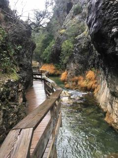 Cazorla Paraíso I, Arroyo Frío - Arroyo Frío - 3