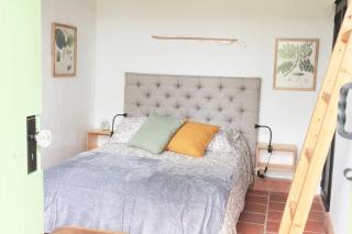 La Liebre bed and breakfast - El Retiro - 4