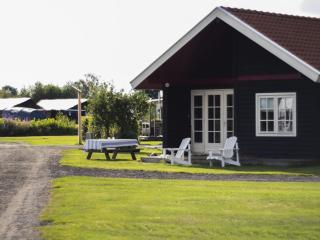 Cozy chalet with palet stove - De Veenhoop - 4