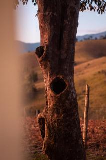 Solarium Mantiqueira - Conforto e vistas incríveis - 1