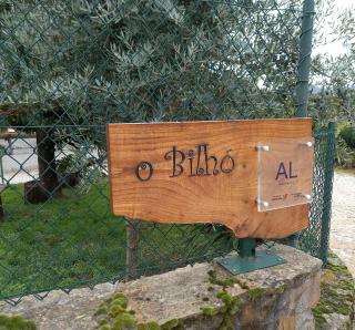 O Bilhó - Vinhais - 9