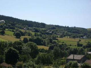 Gîte Montagne avec Cheminée - 4 chambres, Animaux acceptés - FR-1-582-243 - 8