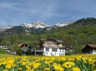 Hotel Alpenrose beim Ballenberg - Brienz - 7
