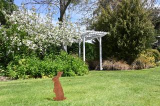 St Leonards Vineyard Cottages - Blenheim - 6