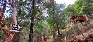 Cabaña en el Bosque de San José del Pacifico 2 - El Pacífico - 9