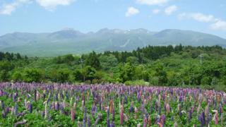 Kyukamura Nasu - Nasu - 4