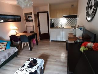 Joli studio rénové 4 pers. avec balcon et WIFI - 10 min à pied du village, parking privatif - FR-1-689-3 - Villard-de-Lans - 0