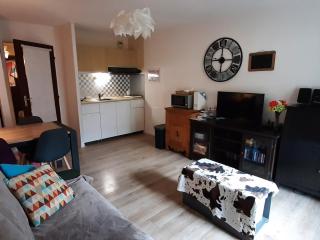 Joli studio rénové 4 pers. avec balcon et WIFI - 10 min à pied du village, parking privatif - FR-1-689-3 - Villard-de-Lans - 9
