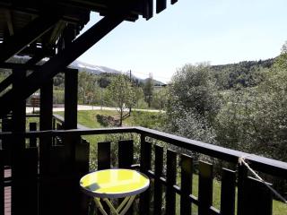 Joli studio rénové 4 pers. avec balcon et WIFI - 10 min à pied du village, parking privatif - FR-1-689-3 - Villard-de-Lans - 6