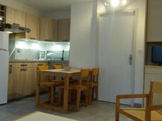Studio rénové au centre de Villard-de-Lans avec coin montagne - 4 pers., balcon, WiFi, proche commerces. - FR-1-689-6 - Villard-de-Lans - 9
