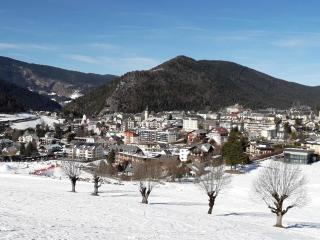 Studio rénové au centre de Villard-de-Lans avec coin montagne - 4 pers., balcon, WiFi, proche commerces. - FR-1-689-6 - Villard-de-Lans - 2