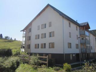 Appartement de Charme 4**** - Colline des Bains, Villard-de-Lans - FR-1-689-12 - Villard-de-Lans - 2