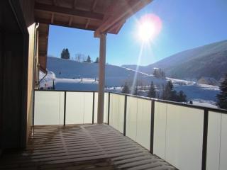 Appartement de Charme 4**** - Colline des Bains, Villard-de-Lans - FR-1-689-12 - Villard-de-Lans - 1