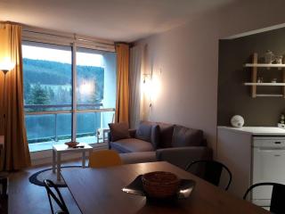 Appartement rénové 3*** - 2 chambres, 8 pers. - Pied des pistes, Villard-de-Lans - FR-1-689-8 - Villard-de-Lans - 9