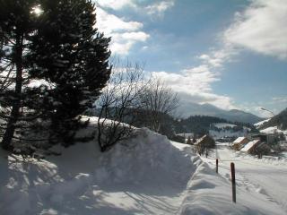 Appartement 3P, Rez-de-Jardin, Proche Village, 6-7 Pers, Terrasse Sud, Parking - Villard-de-Lans - FR-1-689-18 - Villard-de-Lans - 2