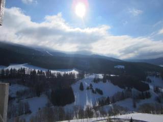 Pied des pistes, beau 2 pièces avec coin montagne - 6 personnes - FR-1-689-21 - Villard-de-Lans - 2
