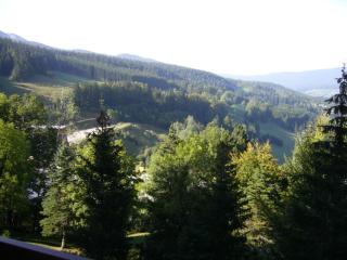 Pied des pistes, beau 2 pièces avec coin montagne - 6 personnes - FR-1-689-21 - Villard-de-Lans - 1