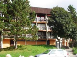 Studio Coquet 4 Pers, Pied des Pistes, Secteur Calme - Villard-de-Lans - FR-1-689-40 - Villard-de-Lans - 2