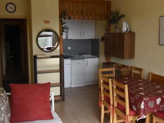 Appartement 2P Pied des Pistes - 6 pers, Balcon, Ascenseur - FR-1-689-45 - Villard-de-Lans - 8