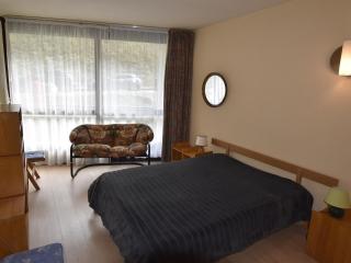 Appartement 2P Pied des Pistes - 6 pers, Balcon, Ascenseur - FR-1-689-45 - Villard-de-Lans - 4