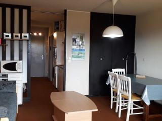 Studio 4 pers, skis aux pieds, Villard-de-Lans - FR-1-689-46 - Villard-de-Lans - 8