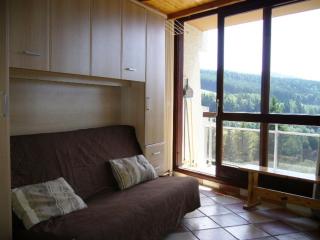 Studio cabine au pied des pistes avec balcon, Villard-de-Lans - FR-1-689-51 - Villard-de-Lans - 8
