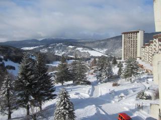 Studio cabine au pied des pistes avec balcon, Villard-de-Lans - FR-1-689-51 - Villard-de-Lans - 3