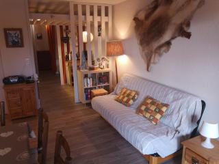 Studio spacieux 4 pers, pied des pistes, balcon, parking - FR-1-689-49 - Villard-de-Lans - 9