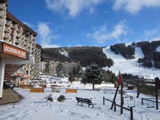 Studio coquet au pied des pistes - 2/3 pers, balcon - FR-1-689-69 - Villard-de-Lans - 4