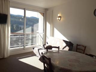 Charmant 2 pièces avec balcon et vue - 5 personnes - FR-1-689-65 - Villard-de-Lans - 0