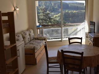 Studio pour 4 à Villard-de-Lans, exposé sud, au pied des pistes - FR-1-689-70 - Villard-de-Lans - 7