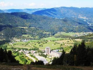 Studio 4 pers, pied des pistes, proche commerces et navettes – Villard-de-Lans - FR-1-689-100 - Villard-de-Lans - 3