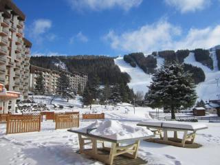 Studio 4 pers, pied des pistes, proche commerces et navettes – Villard-de-Lans - FR-1-689-100 - Villard-de-Lans - 2