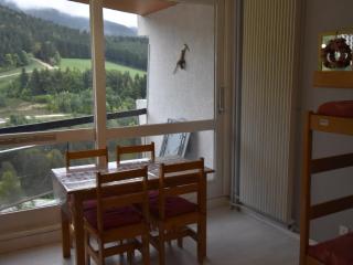 Studio cosy 4 pers. pistes - Balcon & TV - FR-1-689-76 - Villard-de-Lans - 2