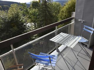 Studio rénové au pied des pistes avec balcon – 4 pers, cuisine équipée, parking gratuit - FR-1-689-87 - Villard-de-Lans - 3