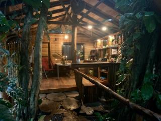 Jungle Bluff Beach Paradise - Jungle House - Bocas del Toro - 6