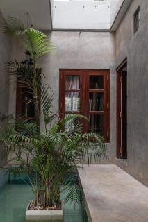 Coconut Surf Inn - Weligama - 5