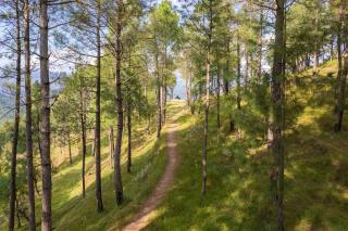 StayVista at The Village Walk with Viewing Deck - Almora - 6